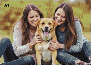 Create Your Own Diamond Art