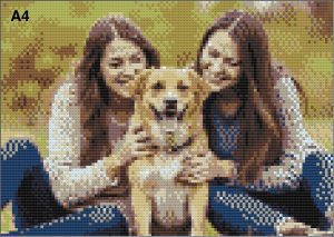 Custom Diamond Painting